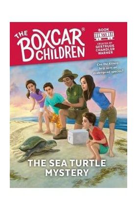 Sea Turtle Mystery