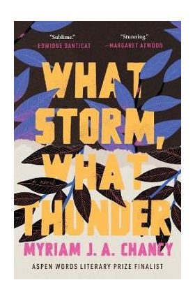 What Storm, What Thunder - Myriam J. A. Chancy