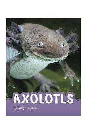 Axolotls - Jaclyn Jaycox