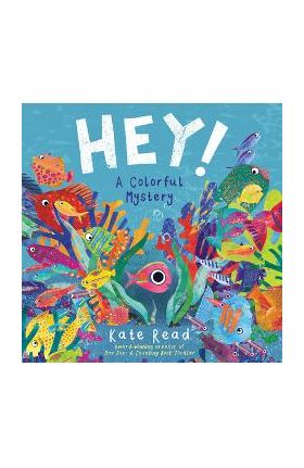 Hey! a Colorful Mystery - Kate Read