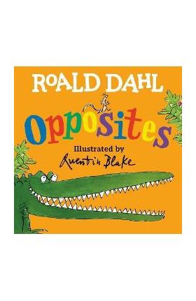 Roald Dahl Opposites - Roald Dahl