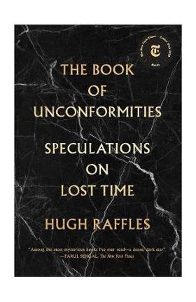 The Book of Unconformities: Speculations on Lost Time - Hugh Raffles