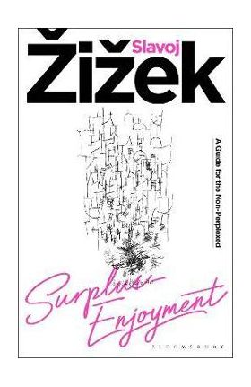 Surplus-Enjoyment: A Guide for the Non-Perplexed - Slavoj Zizek