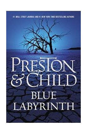 Blue Labyrinth - Douglas Preston