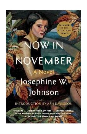 Now in November - Josephine Johnson