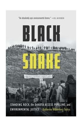 Black Snake: Standing Rock, the Dakota Access Pipeline, and Environmental Justice - Katherine Wiltenburg Todrys