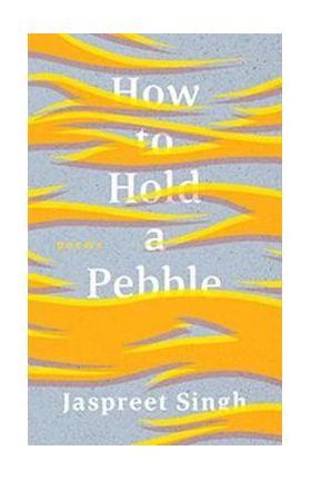 How to Hold a Pebble - Jaspreet Singh