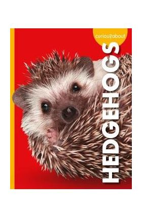 Curious about Hedgehogs - Alissa Thielges