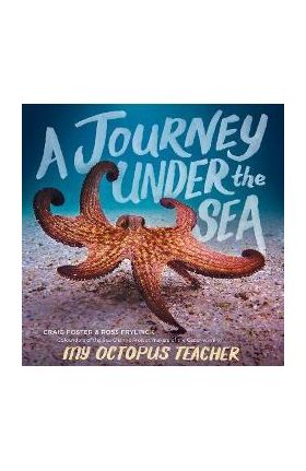 A Journey Under the Sea - Craig Foster