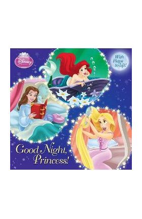 Good Night, Princess! - Andrea Posner-sanchez
