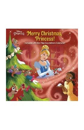 Merry Christmas, Princess! (Disney Princess) - Nicole Johnson