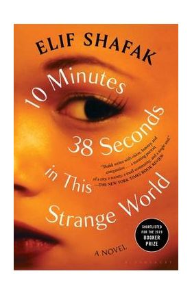 10 Minutes 38 Seconds in This Strange World - Elif Shafak