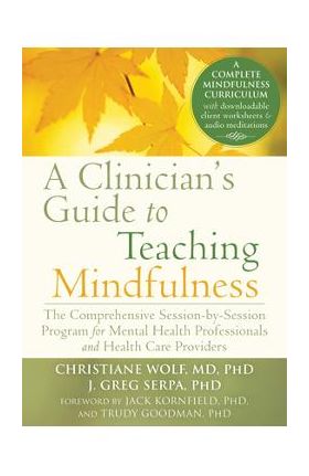 A Clinician's Guide to Teaching Mindfulness: The Comprehensive Session-By-Session Program for Mental Health Professionals and Health Care Providers - Christiane Wolf