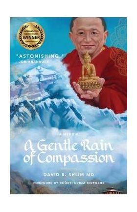 A Gentle Rain of Compassion - David R. Shlim