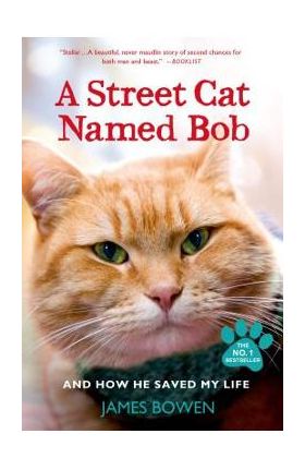 A Street Cat Named Bob and How He Saved My Life - James Bowen