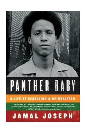 Panther Baby - Jamal Joseph