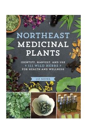 Northeast Medicinal Plants: Identify, Harvest, and Use 111 Wild Herbs for Health and Wellness - Liz Neves