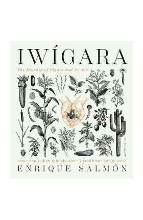 Iw&#65533;gara: American Indian Ethnobotanical Traditions and Science - Enrique Salm&#65533;n