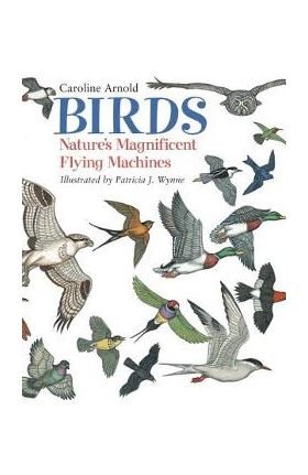 Birds: Nature's Magnificent Flying Machines - Caroline Arnold