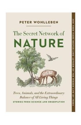 The Secret Network of Nature: Trees, Animals, and the Extraordinary Balance of All Living Things-- Stories from Science and Observation - Peter Wohlleben