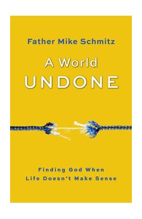 A World Undone: Finding God When Life Doesn't Make Sense - Fr Mike Schmitz