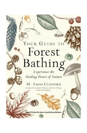 Your Guide to Forest Bathing (Expanded Edition): Experience the Healing Power of Nature - M. Amos Clifford