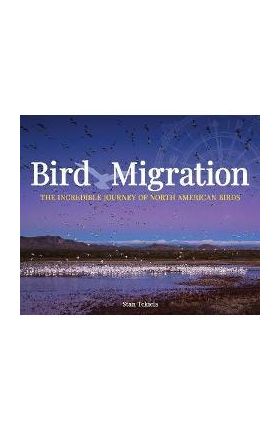 Bird Migration: The Incredible Journeys of North American Birds - Stan Tekiela