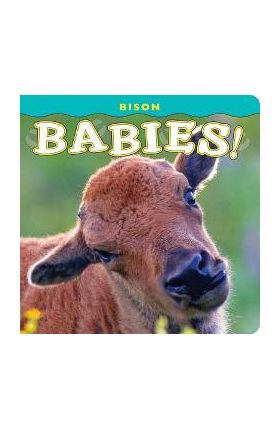 Bison Babies! - Donald M. Jones