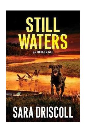 Still Waters - Sara Driscoll