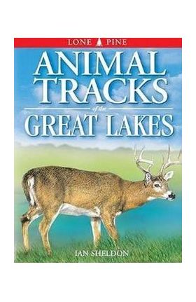 Animal Tracks of the Great Lakes - Ian Sheldon