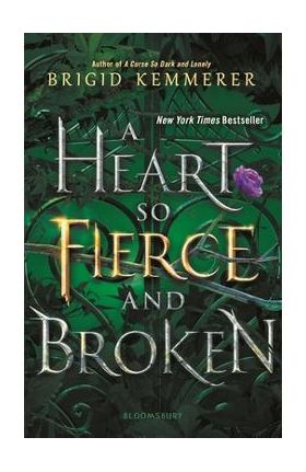 A Heart So Fierce and Broken - Brigid Kemmerer