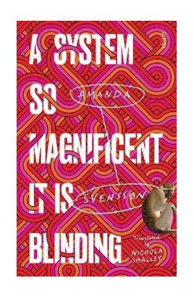 A System So Magnificent It Is Blinding - Amanda Svensson