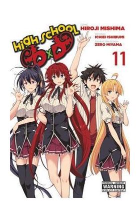 High School DXD, Vol. 11 - Hiroji Mishima