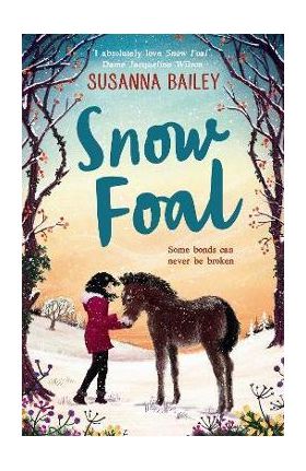 Snow Foal - Susanna Bailey