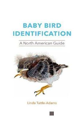 Baby Bird Identification: A North American Guide - Linda Tuttle-adams