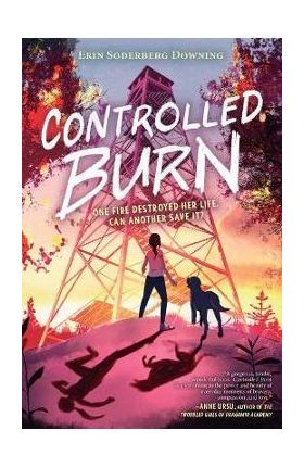 Controlled Burn - Erin Soderberg Downing