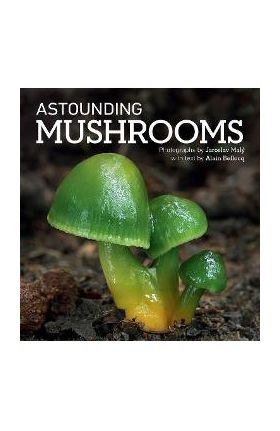 Astounding Mushrooms - Jaroslav Maly