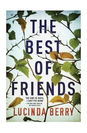 The Best of Friends - Lucinda Berry