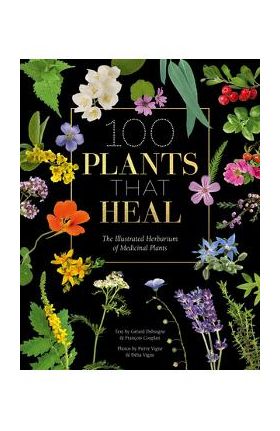 100 Plants That Heal: The Illustrated Herbarium of Medicinal Plants - Fran&#65533;ois Couplan