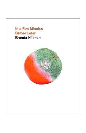 In a Few Minutes Before Later - Brenda Hillman