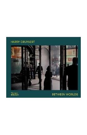 Harry Gruyaert: Between Worlds - David Campany