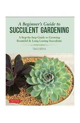 Beginner's Guide to Succulent Gardening