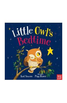 Little Owl's Bedtime - Karl Newson