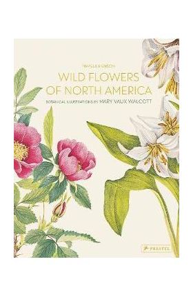 Wild Flowers of North America: Botanical Illustrations by Mary Vaux Walcott - Pamela Henson