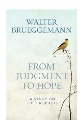 From Judgment to Hope: A Study on the Prophets - Walter Brueggemann