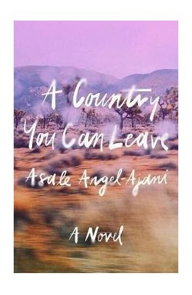 A Country You Can Leave - Asale Angel-ajani