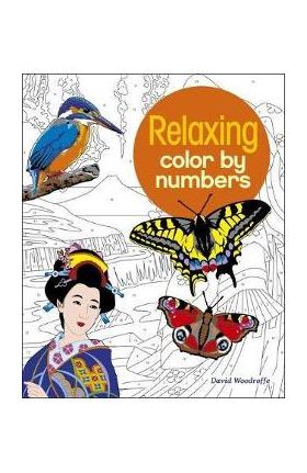 Relaxing Color by Numbers - David Woodroffe