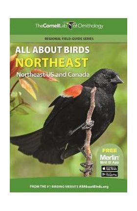 All about Birds Northeast: Northeast Us and Canada - Cornell Lab Of Ornithology