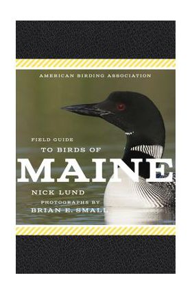 American Birding Association Field Guide to Birds of Maine - Nick Lund
