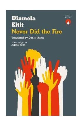 Never Did the Fire - Diamela Eltit